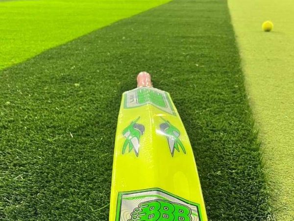 WhatsApp Image 2025-11-08 at 5.42.51 PM